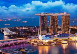 im电竞APP下载手机版